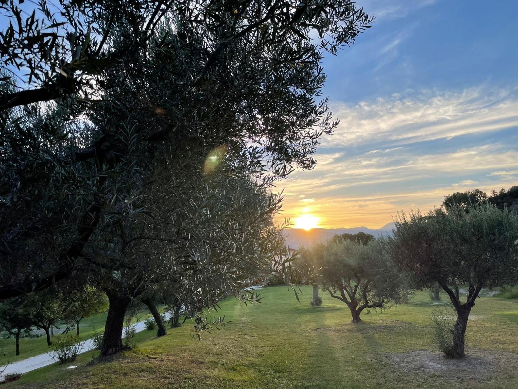 Agriturismo Villa Rosetta San Severino Marche Exteriér fotografie