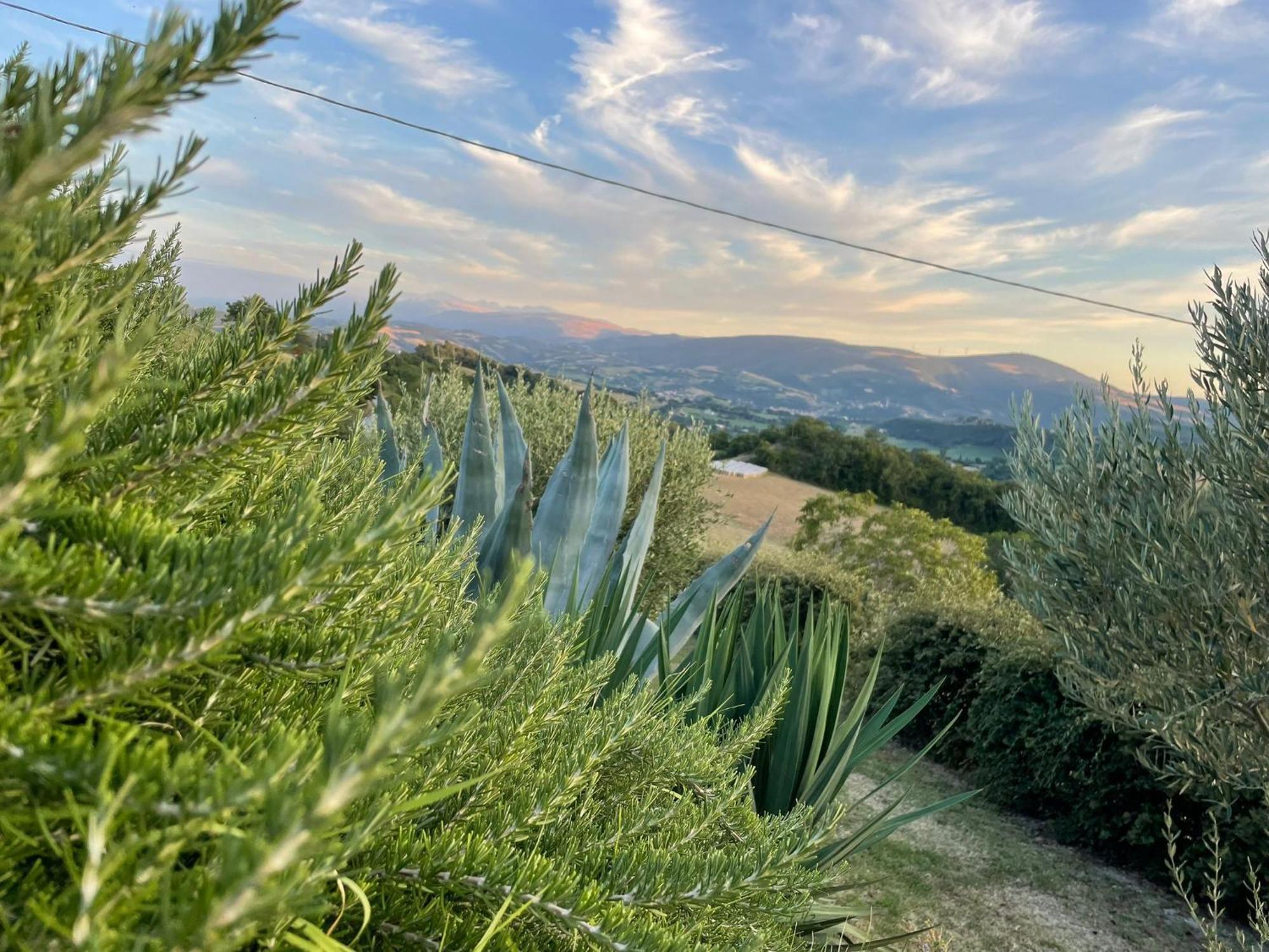 Agriturismo Villa Rosetta San Severino Marche Exteriér fotografie