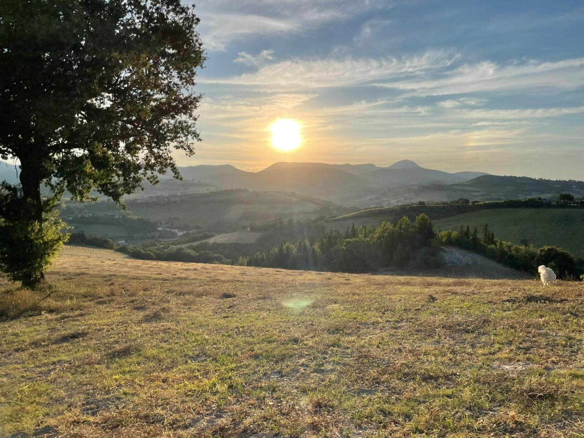 Agriturismo Villa Rosetta San Severino Marche Exteriér fotografie