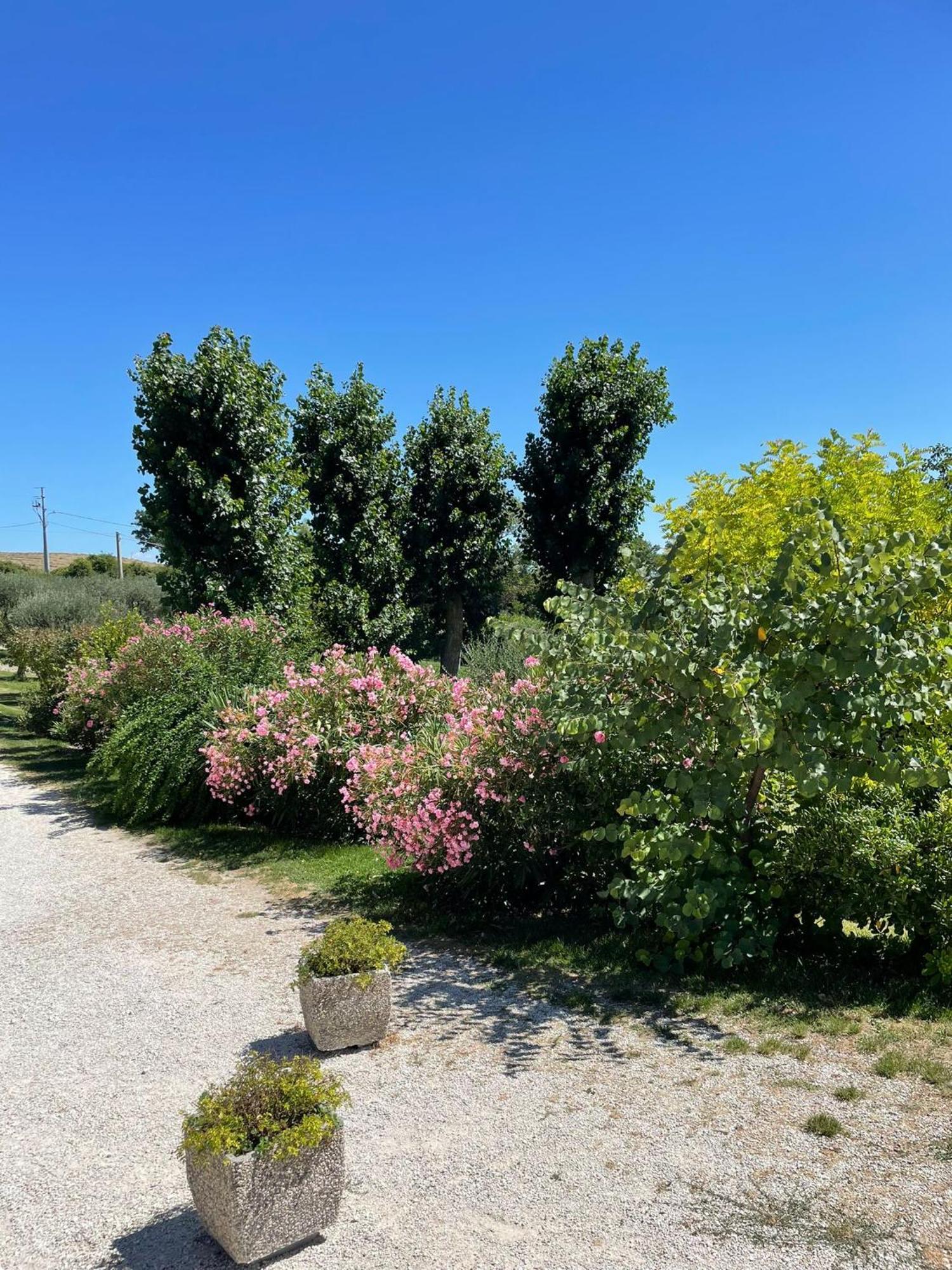 Agriturismo Villa Rosetta San Severino Marche Exteriér fotografie