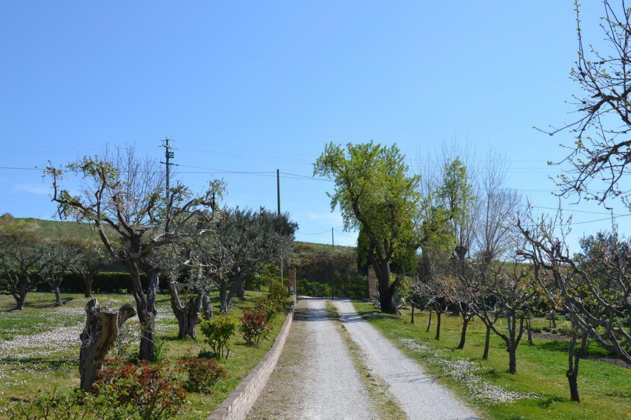 Agriturismo Villa Rosetta San Severino Marche Exteriér fotografie