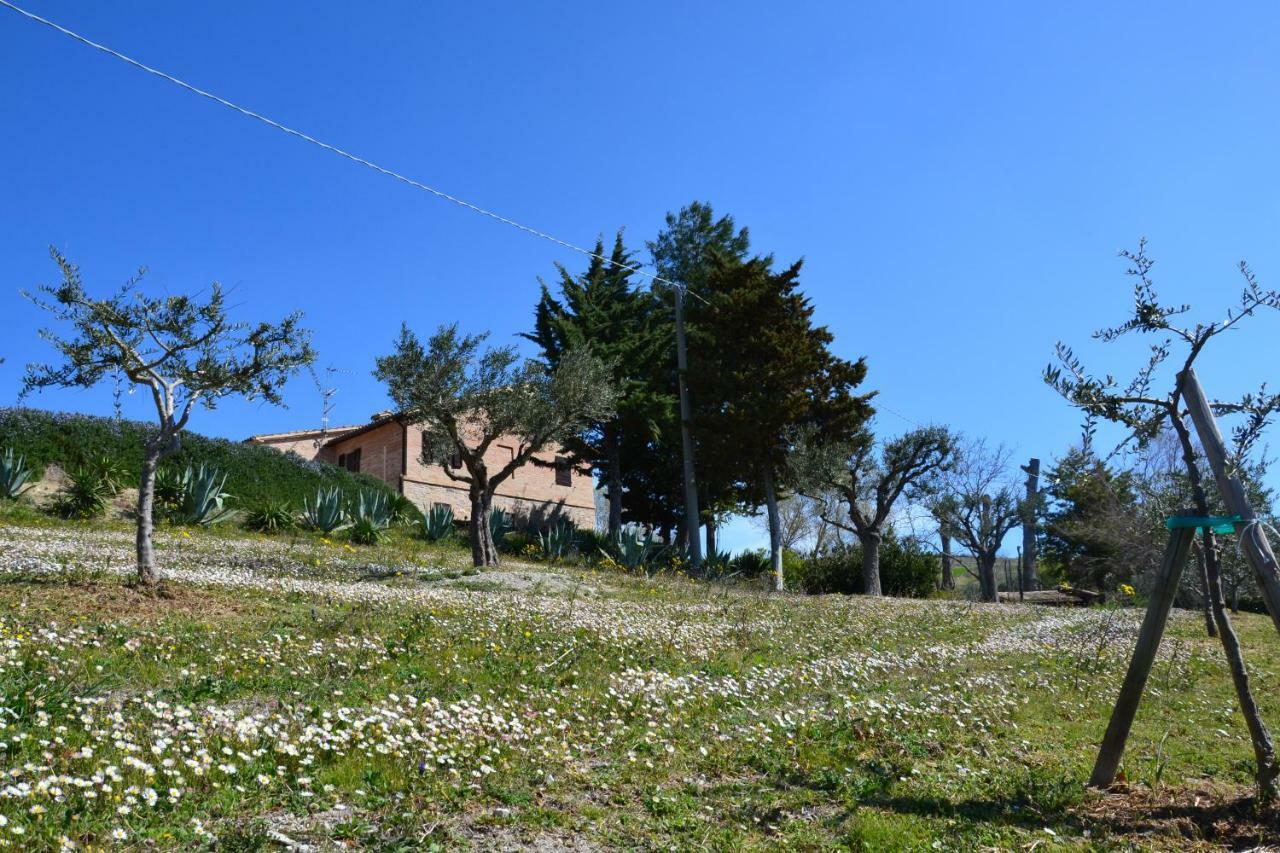 Agriturismo Villa Rosetta San Severino Marche Exteriér fotografie