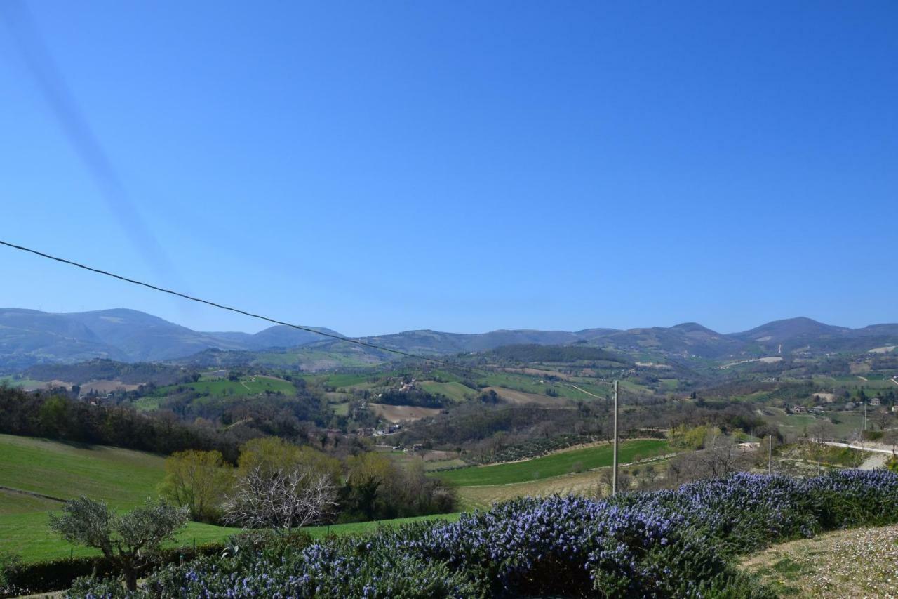 Agriturismo Villa Rosetta San Severino Marche Exteriér fotografie