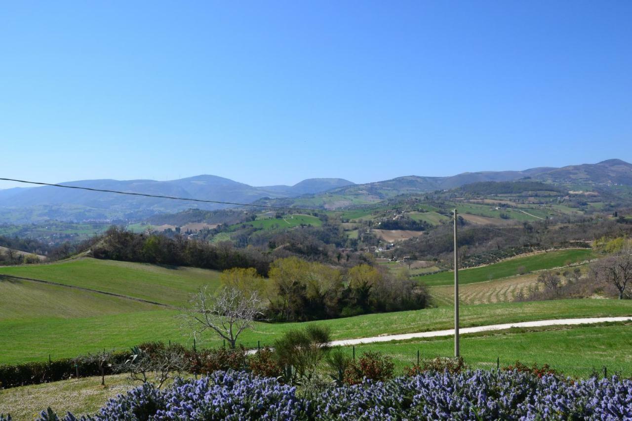 Agriturismo Villa Rosetta San Severino Marche Exteriér fotografie